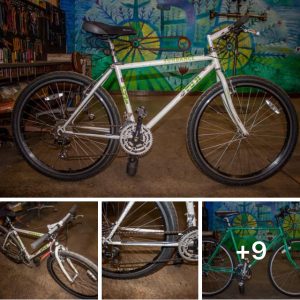 Bikes discount sales online