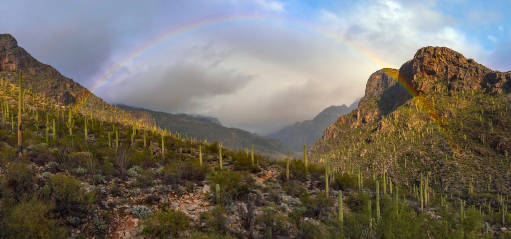 About Tucson | El Tour de Tucson – Perimeter Bicycling