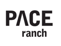 Pace box logo2