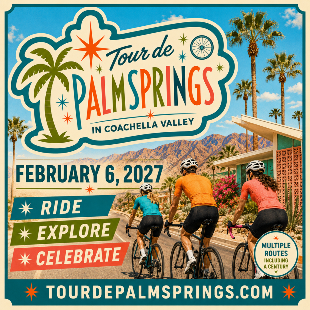 palm promo